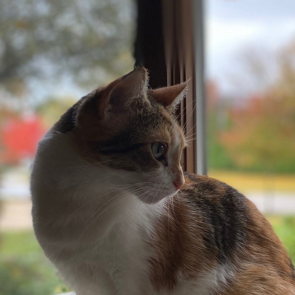 Meet your Posher, Geli